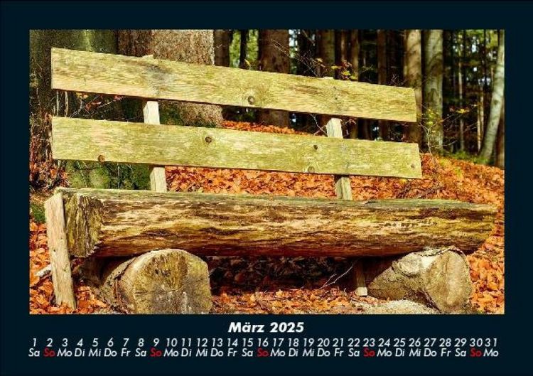 Produktbild: Waldzauber 2025 Fotokalender DIN A5