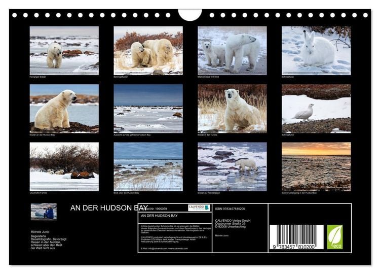 Produktbild: AN DER HUDSON BAY (Wandkalender 2026 DIN A4 quer), CALVENDO Monatskalender