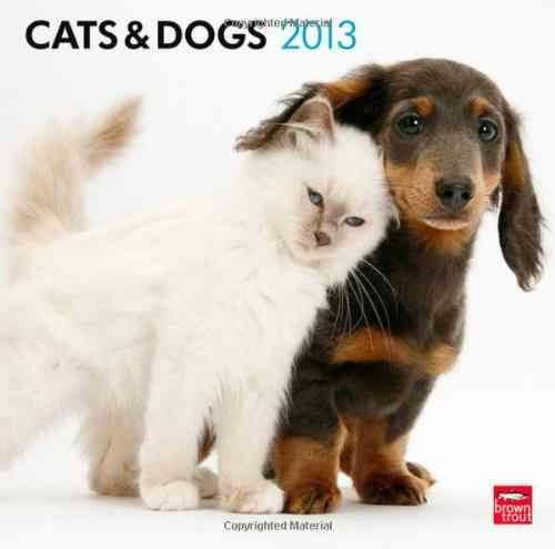 Produktbild: Cats & Dogs 2013