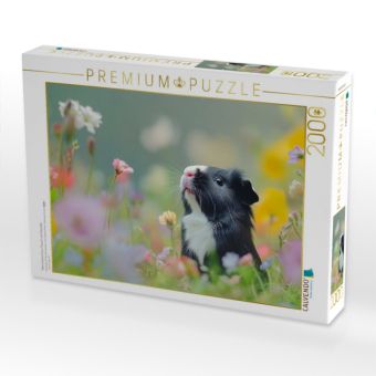 Produktbild: CALVENDO Puzzle Meerschweinchen: Flausch mit Charakter | 2000 Teile Lege-Gr&ouml;&szlig;e 90x67cm Foto-Puzzle f&uuml;r gl&uuml;ckliche Stunden