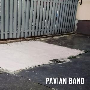 Produktbild: Pavian Band