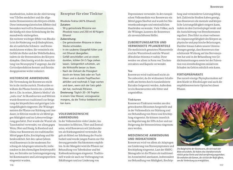 Produktbild: Wildpflanzen f&uuml;r die mentale Gesundheit