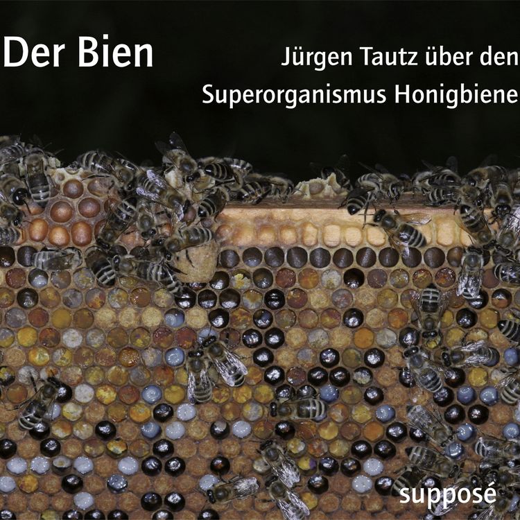 Produktbild: Der Bien