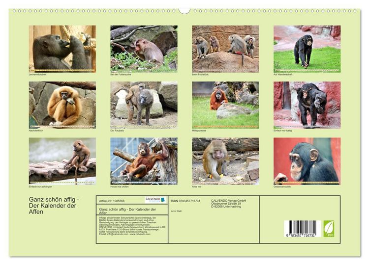 Produktbild: Ganz sch&ouml;n affig - Der Kalender der Affen (hochwertiger Premium Wandkalender 2026 DIN A2 quer), Kunstdruck in Hochglanz