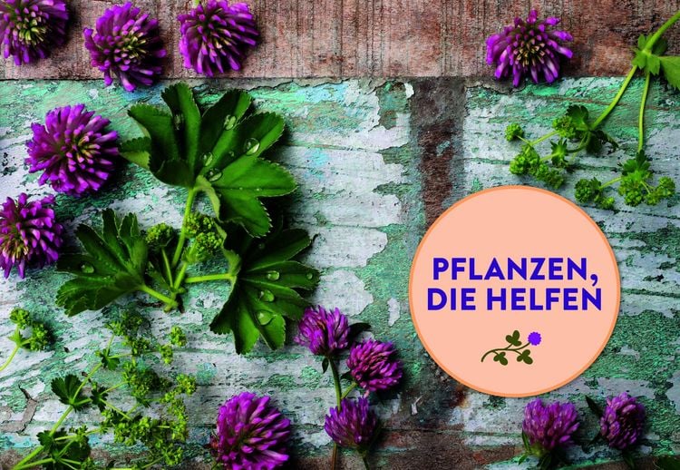 Produktbild: Entspannte Wechseljahre