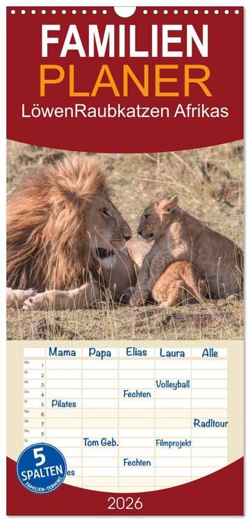Produktbild: Familienplaner 2026 - L&ouml;wen - Raubkatzen Afrikas mit 5 Spalten (Wandkalender, 21 x 45 cm) CALVENDO