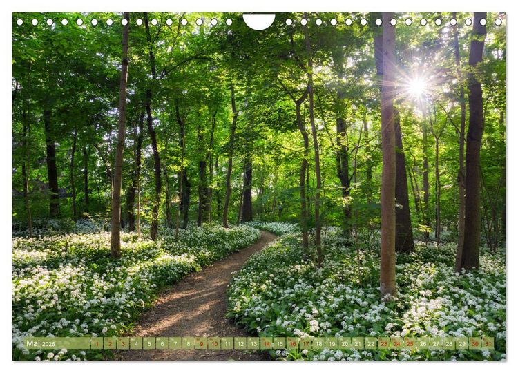 Produktbild: Wege zur Entspannung 2026 (Wandkalender 2026 DIN A4 quer), CALVENDO Monatskalender