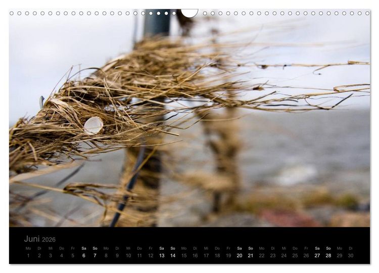 Produktbild: Natur im Detail (Wandkalender 2026 DIN A3 quer), CALVENDO Monatskalender