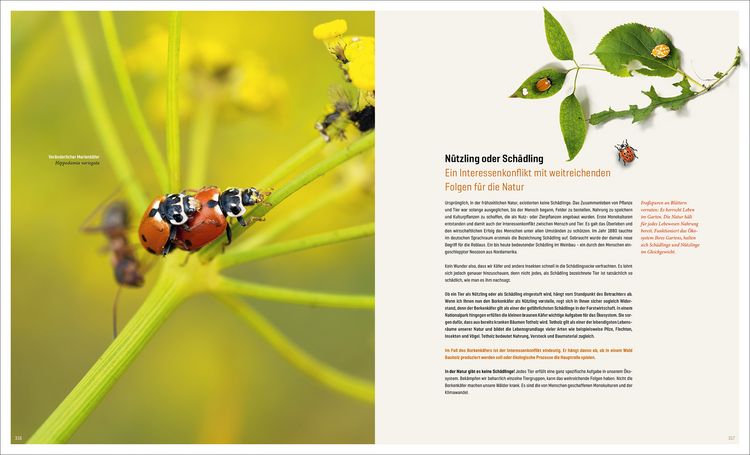 Produktbild: Mein Artenretter Garten