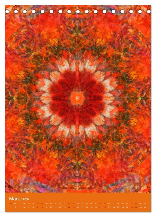 Produktbild: Meditative Pflanzenmandalas (Tischkalender 2026 DIN A5 hoch), CALVENDO Monatskalender