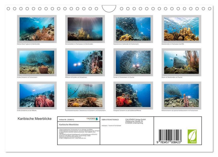 Produktbild: Karibische Meerblicke (Wandkalender 2026 DIN A4 quer), CALVENDO Monatskalender