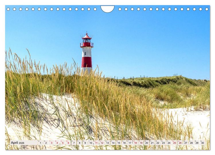 Produktbild: SYLT D&uuml;nenwege (Wandkalender 2026 DIN A4 quer), CALVENDO Monatskalender