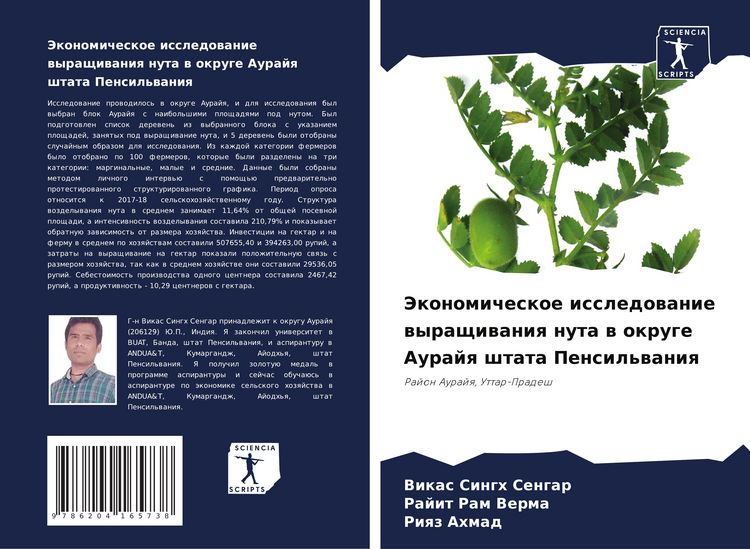 Produktbild: Jekonomicheskoe issledowanie wyraschiwaniq nuta w okruge Aurajq shtata Pensil'waniq