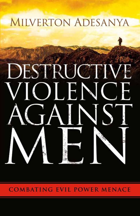 Produktbild: Destructive Violence Against Men
