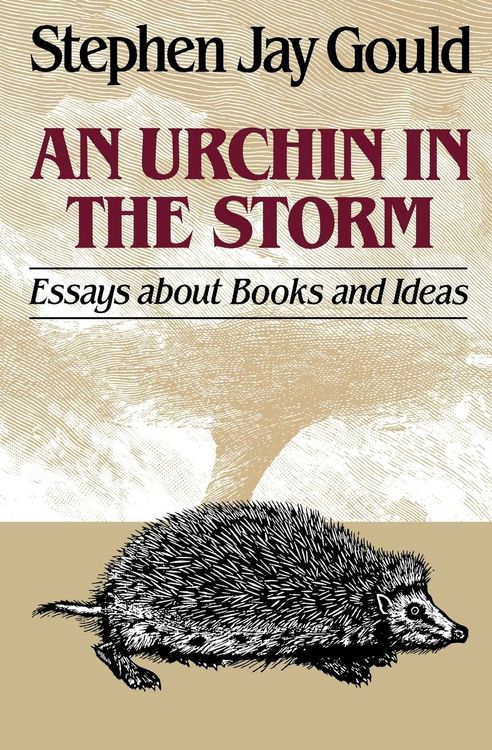 Produktbild: Urchin in the Storm