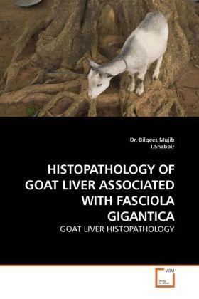 Produktbild: Fm, P: Histopathology Of Goat Liver Associated with Fasciola