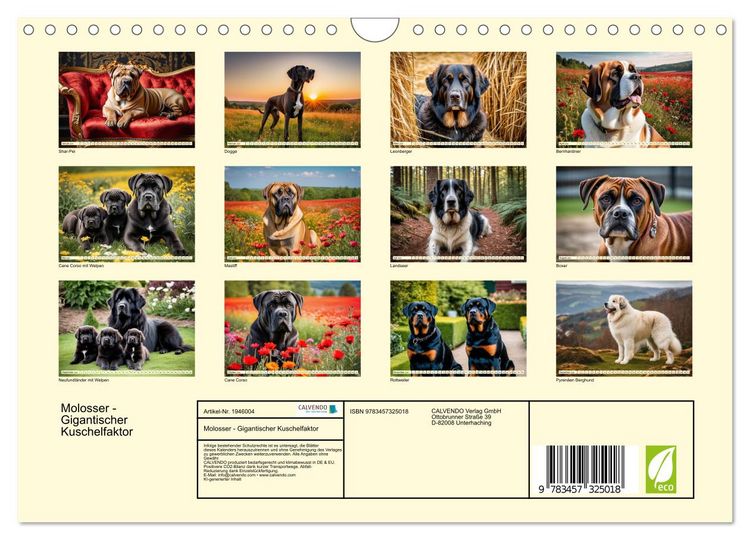 Produktbild: Molosser - Gigantischer Kuschelfaktor (Wandkalender 2026 DIN A4 quer), CALVENDO Monatskalender