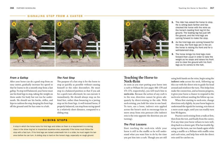 Produktbild: Storey's Guide to Training Horses, 3rd Edition