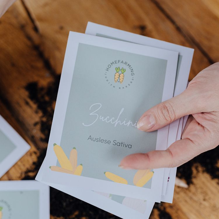 Bio-Saatgutbox fr Anfnger kaufen
