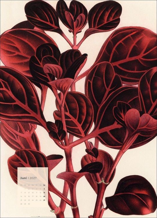 Produktbild: Botanicals Kalender 2027