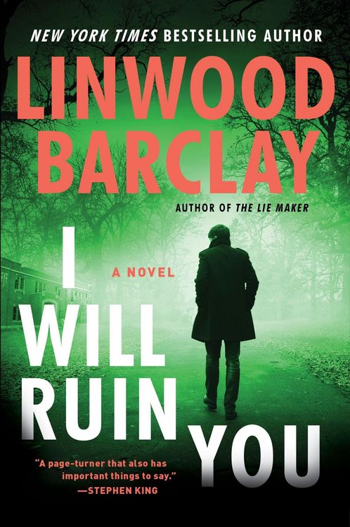 Produktbild: I Will Ruin You