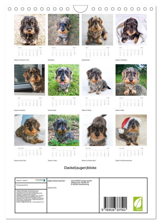 Produktbild: Dackel(augen)blicke (Wandkalender 2026 DIN A4 hoch), CALVENDO Monatskalender
