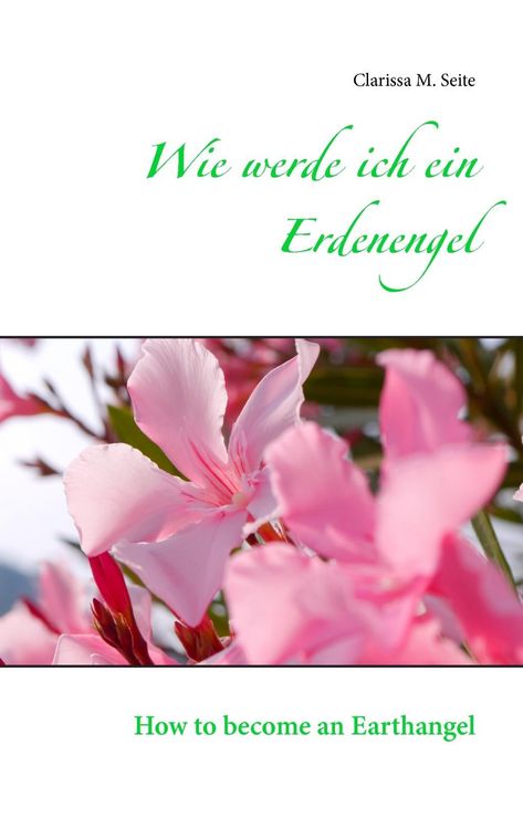 Produktbild: Wie werde ich ein Erdenengel