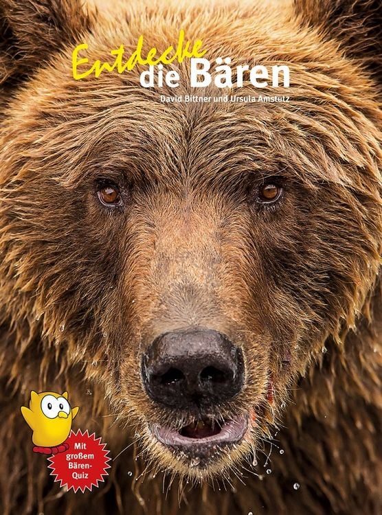 Produktbild: Entdecke die Bären