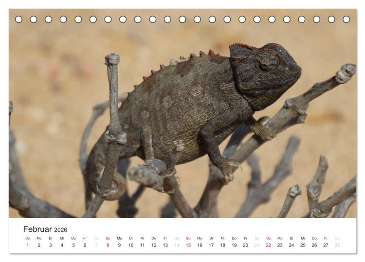 Produktbild: Namibia - Tierische Vielfalt (Tischkalender 2026 DIN A5 quer), CALVENDO Monatskalender