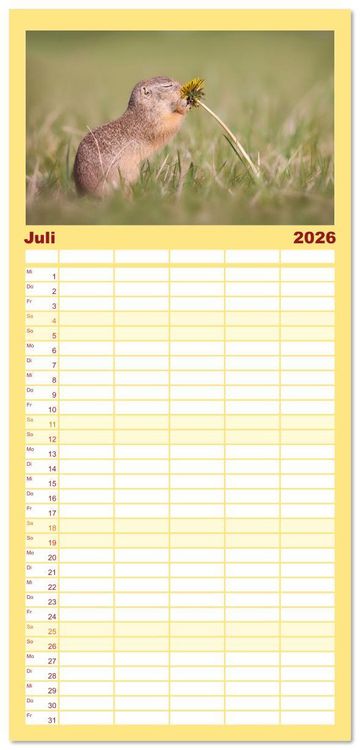 Produktbild: Familienplaner 2026 - Zauberhafte Ziesel mit 5 Spalten (Wandkalender, 21 x 45 cm) CALVENDO