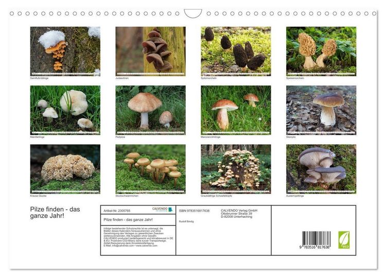 Produktbild: Pilze finden - das ganze Jahr! (Wandkalender 2027 DIN A3 quer), CALVENDO Monatskalender