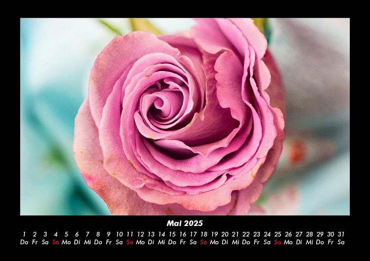 Produktbild: Rosentraum 2025 Fotokalender DIN A3