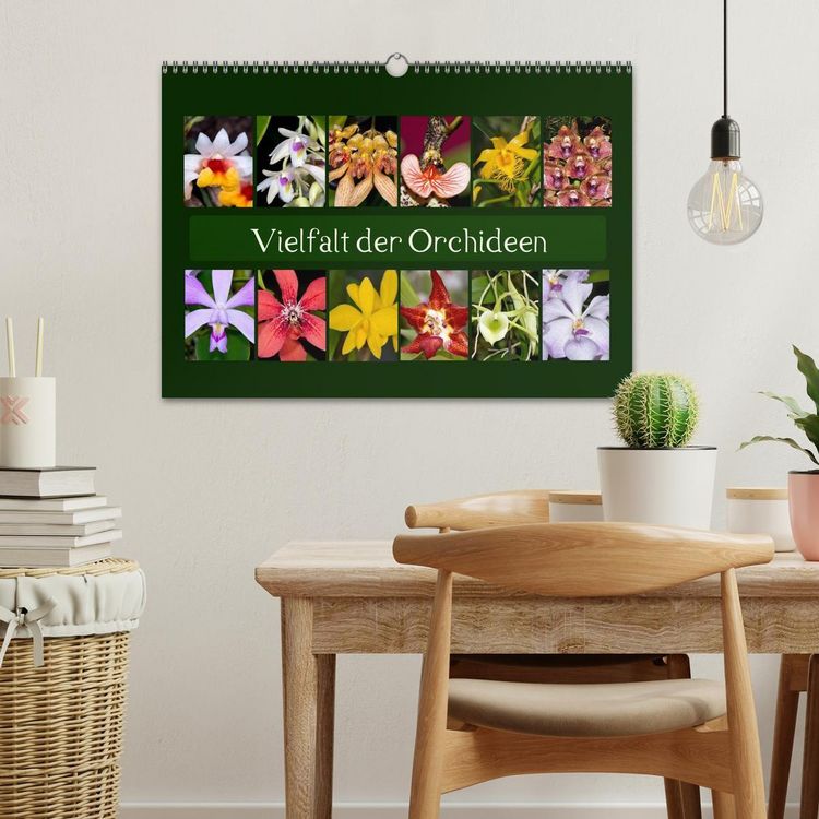 Produktbild: Vielfalt der Orchideen (Wandkalender 2026 DIN A3 quer), CALVENDO Monatskalender
