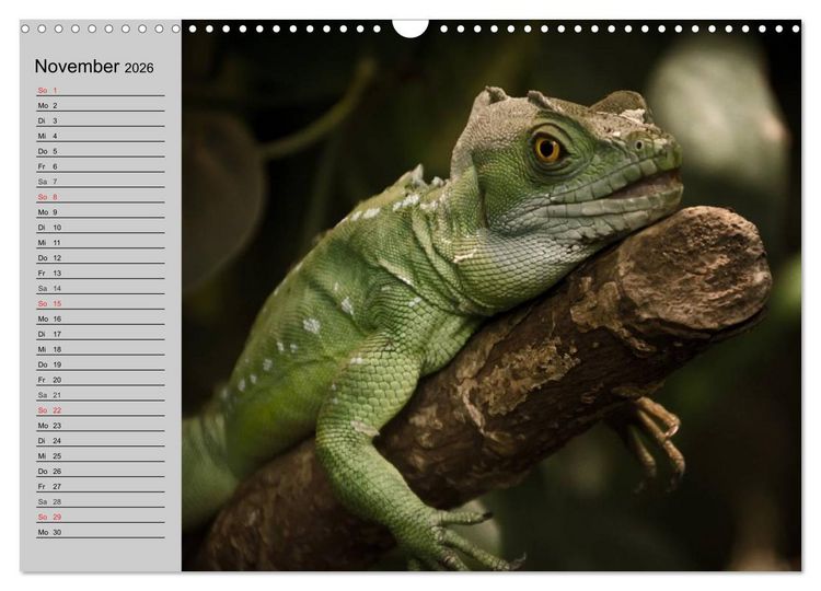 Produktbild: Kaltes Blut. Faszination Reptilien (Wandkalender 2026 DIN A3 quer), CALVENDO Monatskalender