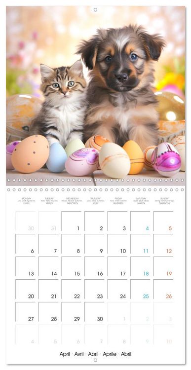 Produktbild: Mignon duo (Calendrier mural carr&eacute; 2026 30x30 cm) Calendrier double avec une page pour vos prises de notes
