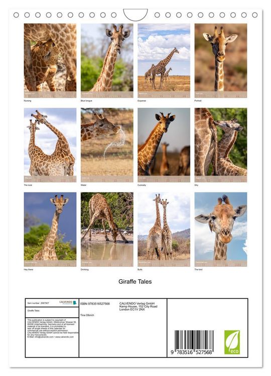Produktbild: Giraffe Tales (Wall Calendar 2026 DIN A4 portrait), CALVENDO 12 Month Wall Calendar