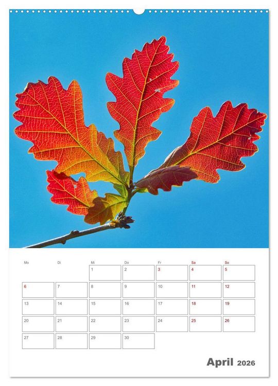 Produktbild: Planen mit dem Symbol der inneren St&auml;rke (Wandkalender 2026 DIN A2 hoch), CALVENDO Monatskalender