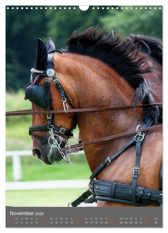 Produktbild: Carriage Driving - Horses in Action (Wall Calendar 2026 DIN A3 portrait), CALVENDO 12 Month Wall Calendar