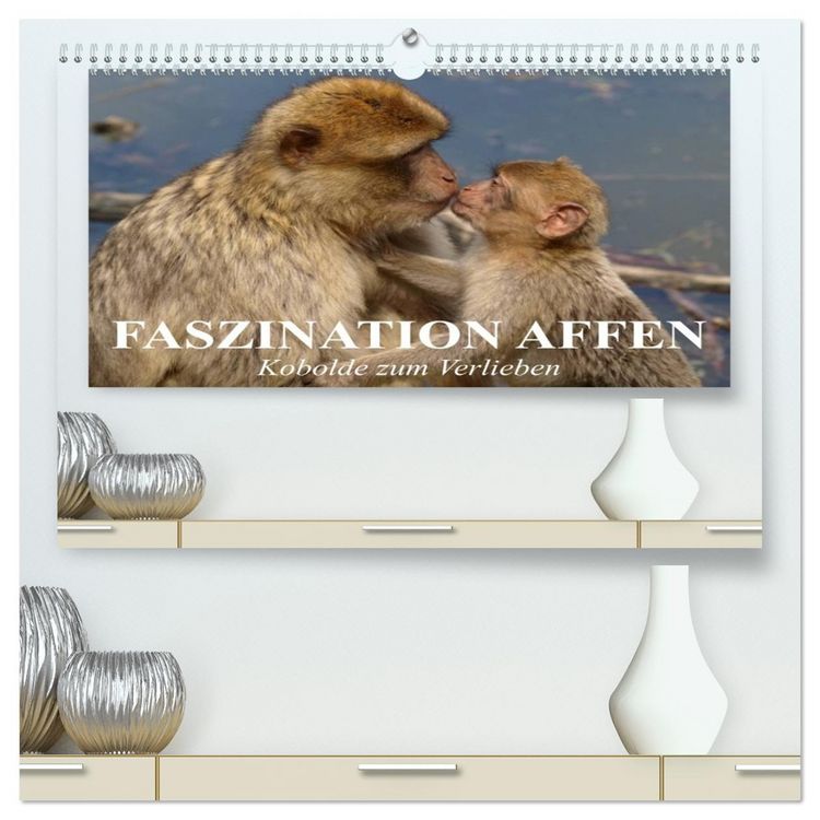 Produktbild: Faszination Affen. Kobolde zum Verlieben (hochwertiger Premium Wandkalender 2026 DIN A2 quer), Kunstdruck in Hochglanz