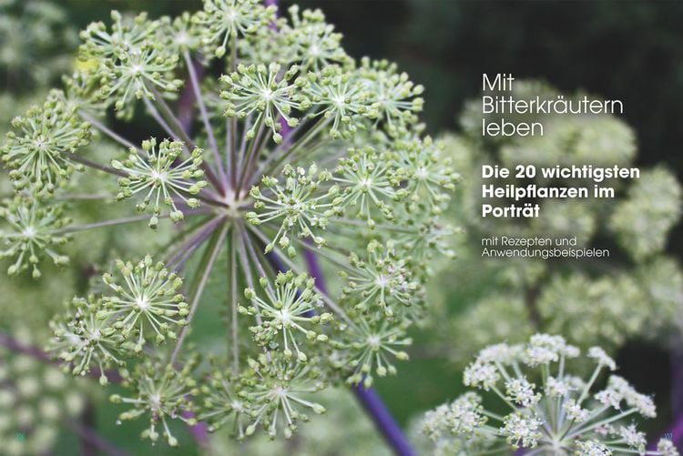Produktbild: Gut, besser, bitter