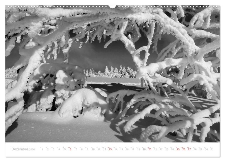 Produktbild: Mystischer Schwarzwald (Wandkalender 2026 DIN A2 quer), CALVENDO Monatskalender