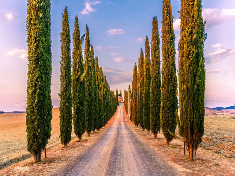 Produktbild: CALVENDO Puzzle Poggio Covili | 1000 Teile Lege-Gr&ouml;&szlig;e 64x48cm Foto-Puzzle f&uuml;r gl&uuml;ckliche Stunden