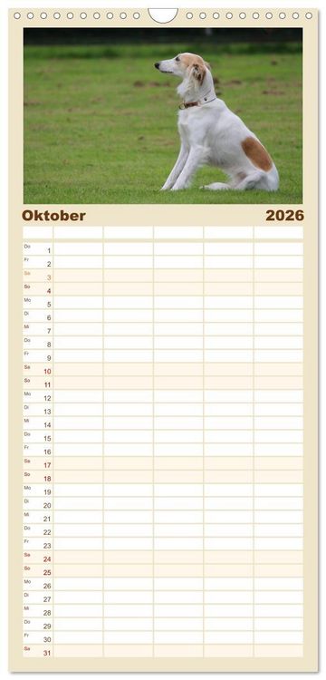 Produktbild: Familienplaner 2026 - Der Silken Windsprite - ein Seelenhund mit 5 Spalten (Wandkalender, 21 x 45 cm) CALVENDO
