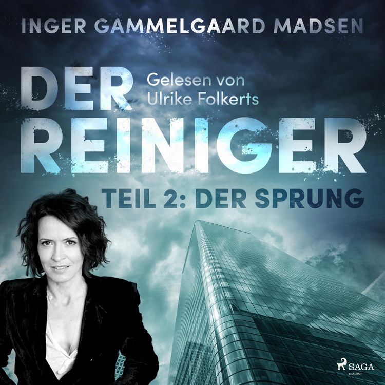 Produktbild: Der Reiniger, Teil 2: Der Sprung (Ungek&uuml;rzt)