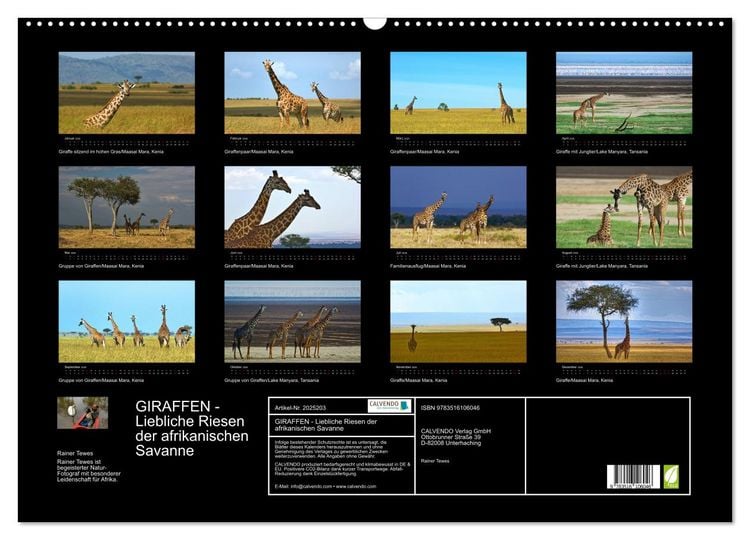 Produktbild: GIRAFFEN - Liebliche Riesen der afrikanischen Savanne (Wandkalender 2026 DIN A2 quer), CALVENDO Monatskalender