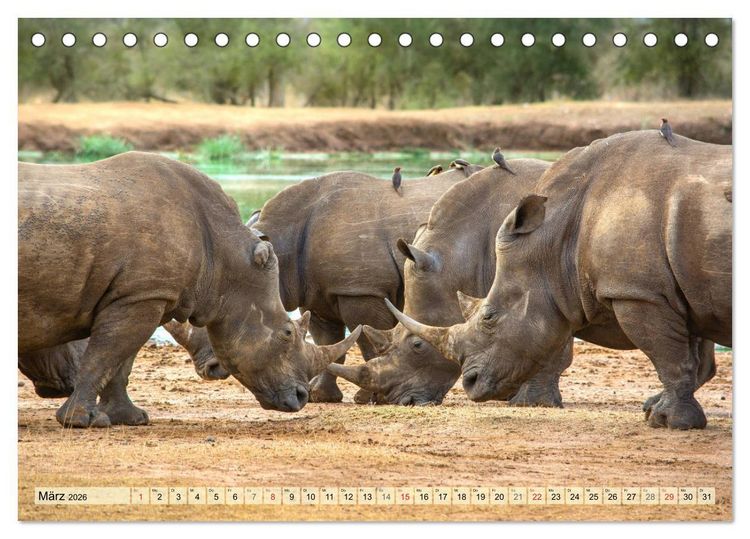 Produktbild: Eswatini - K&ouml;nigreich im s&uuml;dlichen Afrika (Tischkalender 2026 DIN A5 quer), CALVENDO Monatskalender