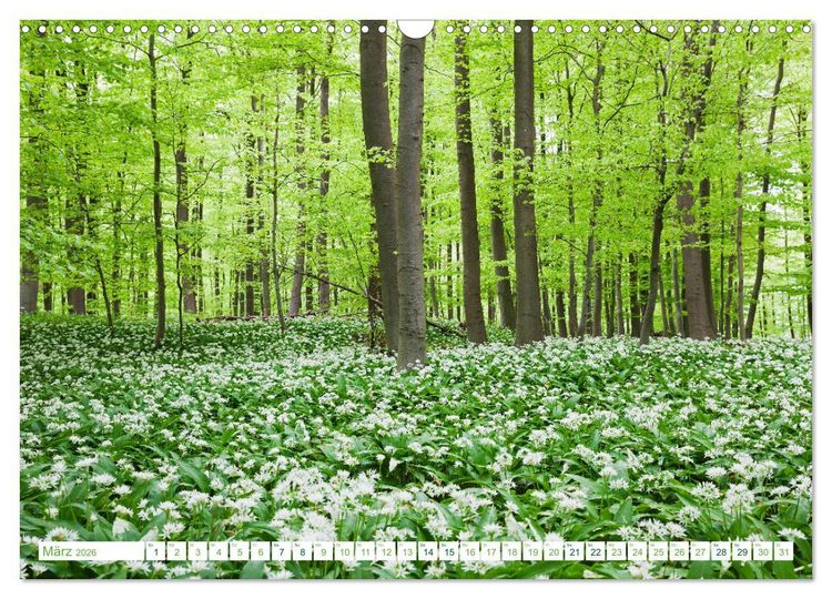 Produktbild: Eifel Reise - romantische Orte (Wandkalender 2026 DIN A3 quer), CALVENDO Monatskalender