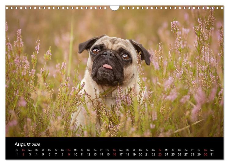 Produktbild: Vermopst durchs Jahr (Wandkalender 2026 DIN A3 quer), CALVENDO Monatskalender