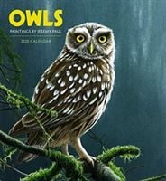 Produktbild: Owls
