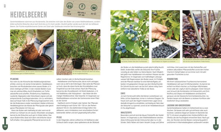 Produktbild: Ackerhelden - Biog&auml;rtnern f&uuml;r Einsteiger